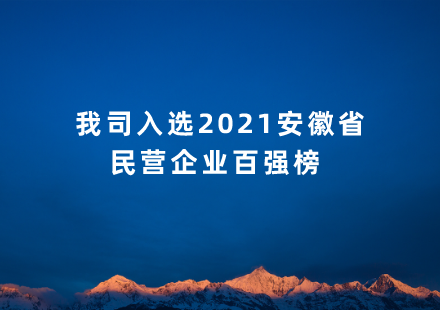 我司入选2021安徽省民营企业百强榜