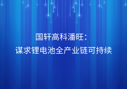 “碳”路可持续丨游艇会高科潘旺：谋求锂电池全产业链可持续