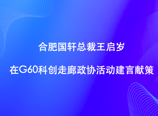 合肥游艇会总裁王启岁在G60科创走廊政协活动建言献策